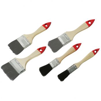 5 Piece Budget Brush Set