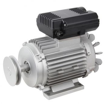 Replacement Electric Motor