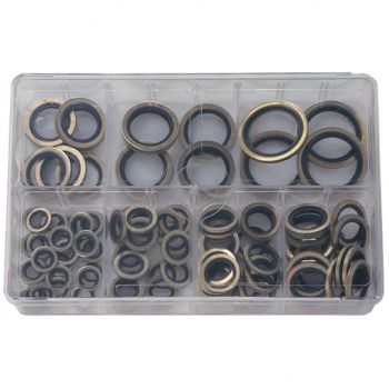 Assorted Bonded Seals