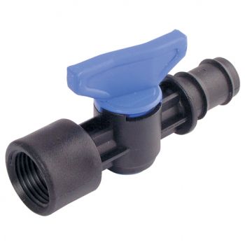 Hose Tail x Female BSPP