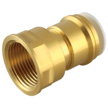 Brass Female Cylinder, BSPP