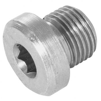 BSPP Socket Headed Plug for Bonded Seal