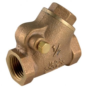 PN20 Swing Check Valve, BSPT